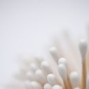 이상동물병원 이미지