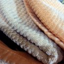 국일관 사우나 이미지