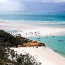 화이트 헤븐 이미지