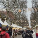 D01097 | [체코 여행] 2024 독일 드레스덴 크리스마스마켓 3곳 위치 / 크로이츠 교회 전망대 포토스팟 동화같은 후기