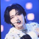 치피치피 이미지