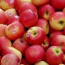 운천5일장 이미지