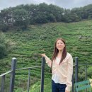 남면로-2 | 25 남해여행