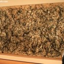 광주교육대학교광주부설초등학교 이미지