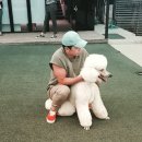 애견사랑 이미지