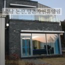 논산숲 | 충남 논산 양촌자연휴양림 숲속의집 동백D 숙박후기