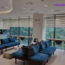 브랜드성형외과의원 | [강남 성형외과 추천] 더멘토성형외과의원 자연스러운 동안을 원한다면