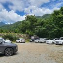 리틀포레 이미지