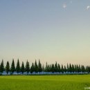 죽동마을 이미지