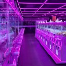 TOY인형뽑기 이미지