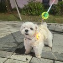 메디벤트 이미지