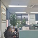 글로벌 행정사 이미지