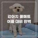 위니즈몰