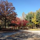 구리둘레길(1코스) 이미지