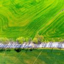 김영근 농장 이미지