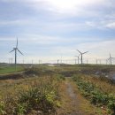 낙하목장 이미지