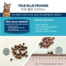 블루버니 이미지