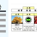 반포대로13길 48 (2) 이미지