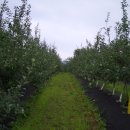 청안농장 이미지