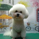 알콩이네 이미지