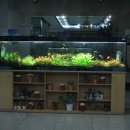 청솔모텔 이미지