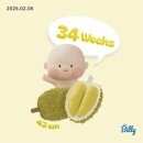 배가짐 | [임신 34주] 임신 후기 증상 _ 막달검사, 산전마사지, 불면, 배커짐, 배뭉침 통증, 태동