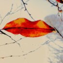 휴일의 아침 이미지