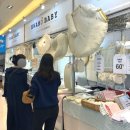 라벨르마마 | [메쎄유람_서포터즈] 2024년 "포항 유람 베이비키즈페어" 현장이벤트 및 관람 후기 (feat. 서밋컨벤션)