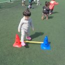 이호운동장 이미지