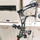 쿠마(KUMA) 이미지