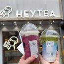 클라우드스타 | HEYTEA 헤이티 강남 리사메뉴 말차 클라우드 코코넛 블루 클라우드 그레이프 후기