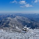 조은사람 이미지