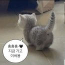 기역 이미지