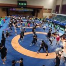 고성스포츠 뉴시스