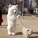 조아애견카페