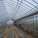 음성농장 이미지