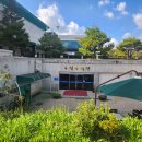 수달수영장 | 무주 수달수영장: 2,200원의 행복, 이틀간 '황제수영' 리얼 후기 (feat. 깨끗한 물 감동 😭)