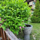 구례통나무펜션 | 구례펜션 구례통나무펜션## 후기