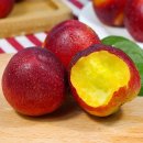 와촌스토어 | 겉은 천도 속은 망고맛? 황금빛 과육 망고천도복숭아 출하!