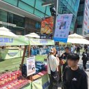삼정컴퍼니 | 부산 서면 상품컴퍼니 팝업 후기/ 그 유명한 대나무행주?!!
