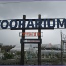 왕릉복권 Daum카페