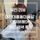 대전미용실 | 대전대흥동미용실 디어뷰헤어 레드 염색 후기(탈색 안 함)