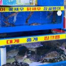 동해활어회수산