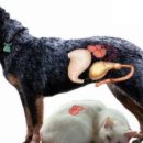 성동동물약국 이미지