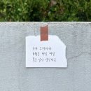 샤인그라운드