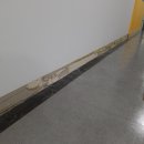 소리천로-운정지식산업센터 | 운정걸레받이시공 사무실 입구 복도 깔끔한 마감 보수 작업 후기