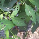 오디하우스 이미지