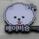 베이비숑 그루밍 이미지