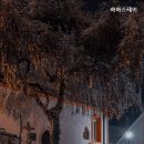 하하스테이 이미지