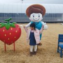 아이유팜 이미지